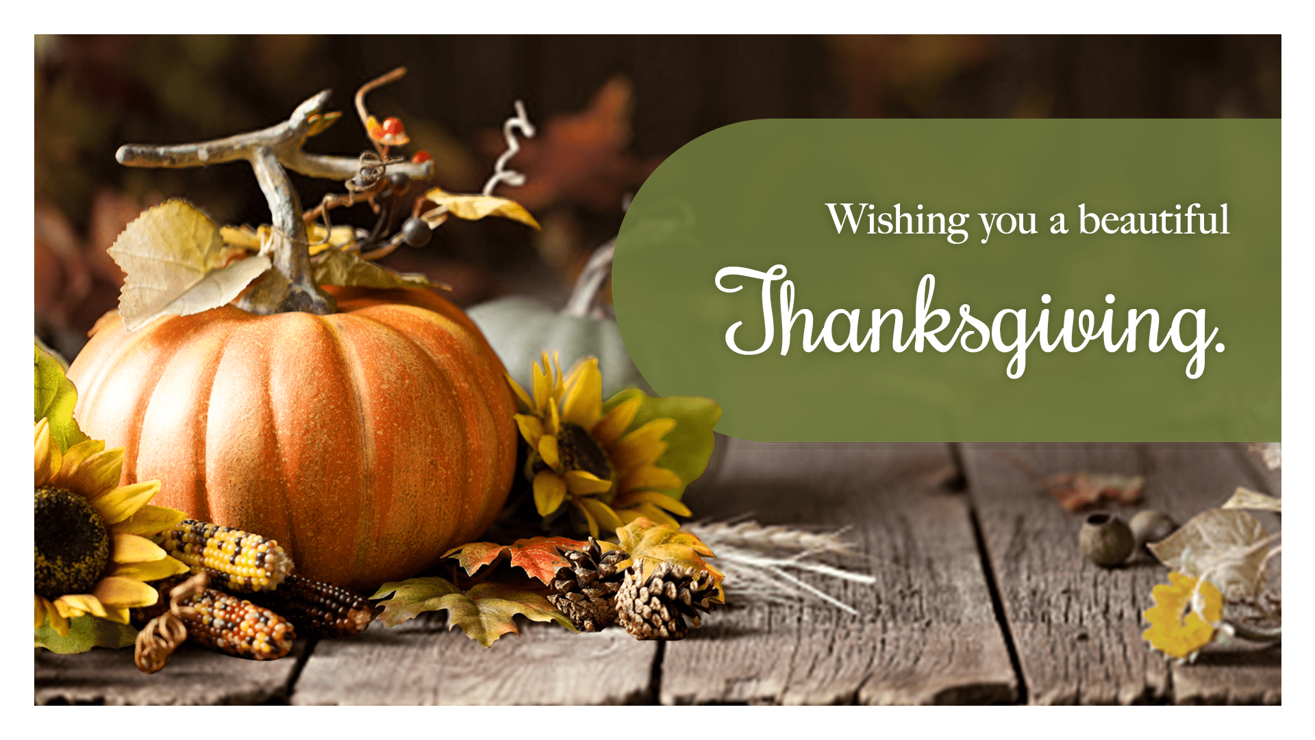 Wishing you a beautiful Thanksgiving.