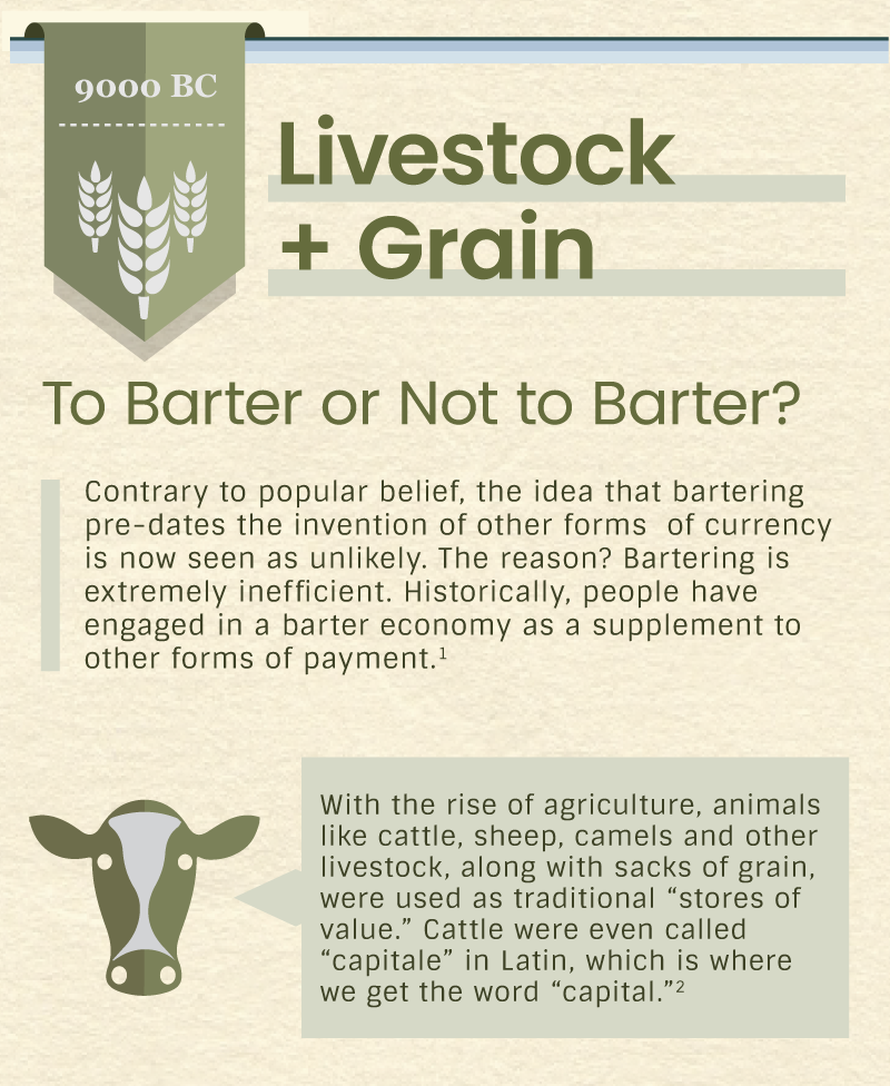 The first section, titled Livestock and Grain, covers the earliest use of currency around 9000 BC. It explains that, contrary to popular belief, bartering pre-dates other forms of currency, and is now seen as unlikely because it is extremely inefficient. Historically, bartering supplemented other forms of payment. With the rise of agriculture, animals such as cattle, sheep, camels, and sacks of grain were used as traditional stores of value. The text notes that cattle were called capitale in Latin, which is where the word capital comes from.
