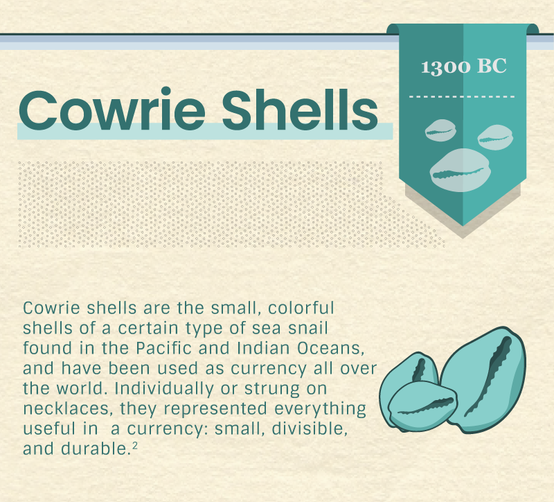 The second section, titled Cowrie Shells, highlights their first use as currency around 1300 BC. It states that cowrie shells are the small, colorful shells of a certain type of sea snail found in the Pacific and Indian Oceans. They were used as currency all over the world. Individually or strung on necklaces, they represented everything useful in a currency: small, divisible, and durable.