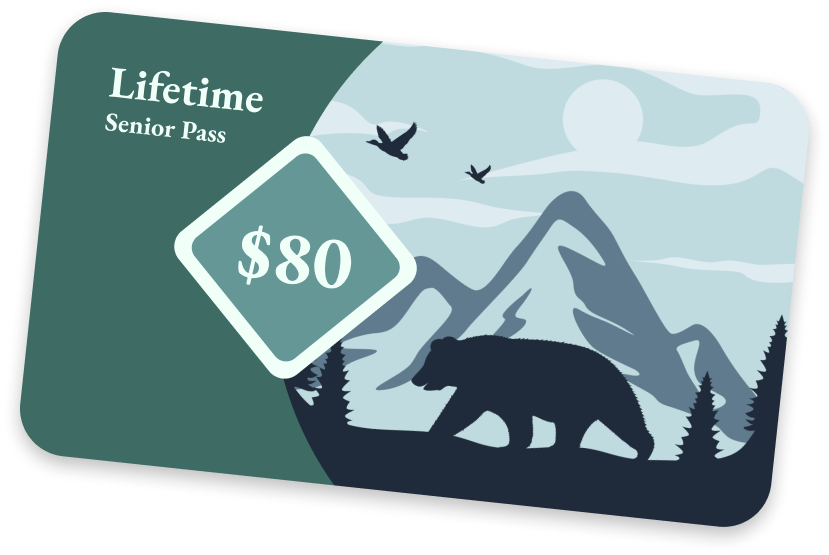 Lifetime Senior Pass, $80